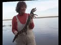 familia torino   pesca rio villamonte