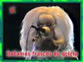 The B-52's  - Legal Tender - Rock in Rio 1985