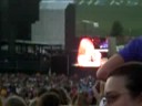 Hershey 7/25 Avril; sk8ter boi