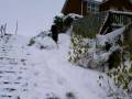 videos de Sledging2