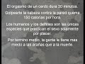 Humor