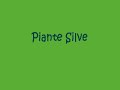 Piante Silve