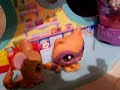 Littlest Pet Shop Mam Talent dla zwierzak�w