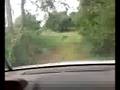 videos de MAAAN LES CAMPAGNARDES =D