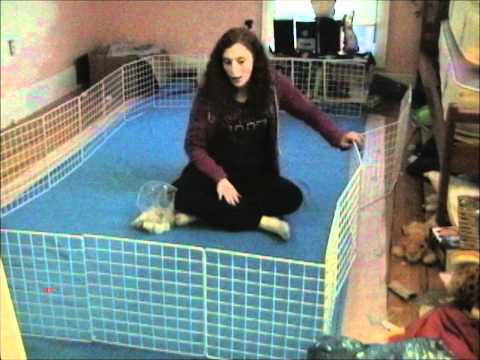 how to make a door in a c&c cage