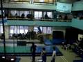 videos de fede salto