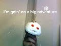 The Chronicles of Snowy