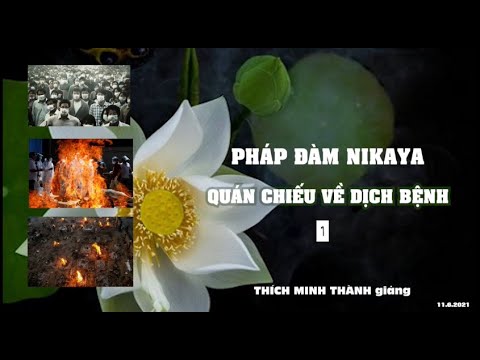 Pháp Đàm NIKAYA - Quán Chiếu Về Dịch Bệnh 1