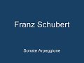 schubert sonate arpeggione d821