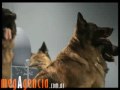 Publicidad Banco Hipotecario - Cedulas Hipotecarias