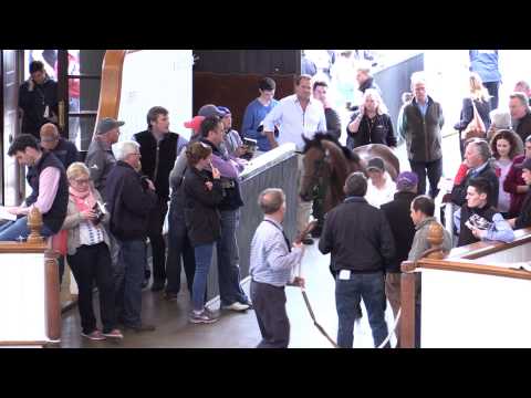 Tattersalls July Sale Day 1 Video Review 2015