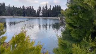 Holly land \ قرية ارطاس \ محافظة بيت لحم \ برك سليمان \ 25 اذار 2022\ Holly land \ قرية ارطاس \ محافظة بيت لحم \ برك سليمان \ 25 اذار 2022\