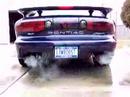 Firehawk Buns Firehawk Buns