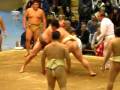 videos de Sumo free-for-all