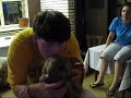 matt karpinski gives lap dances, and in this video, it's damn near fatal. like any good karpinski lap dance, it left the audience begging for more, and the receipient with only minor concussions and only minor internal bleeding.