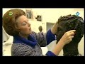 portretschilder Annelies Hoek - Portret Koningin Beatrix