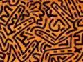 \"Pop Art: worshipping materialism\" on dogonaut.com