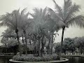 Infrared Doral Isles, Miami - Florida