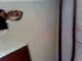 videos de jesus de nazareth