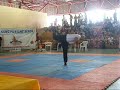 wushu wushu