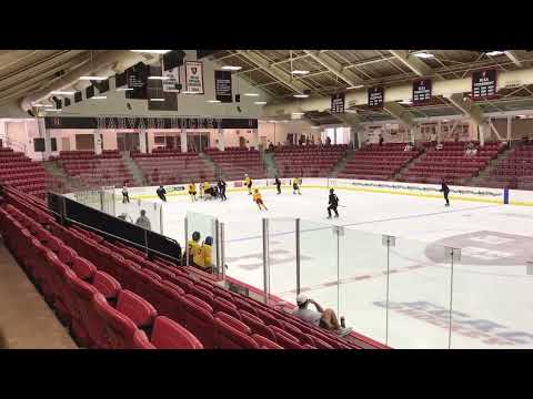 Harvard Camp 2022 #19 Yellow