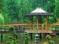 Zen Garden
