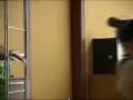 videos de Isole di Cemento Backstage 2°day