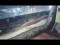 Click here to watch this video Universeum
