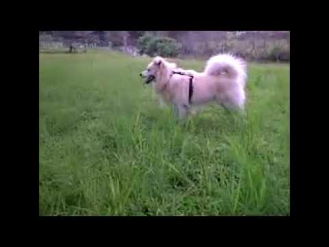 See video