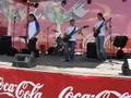 Aia-Ingerii plang live @coke live