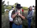 an elk mating call an elk mating call