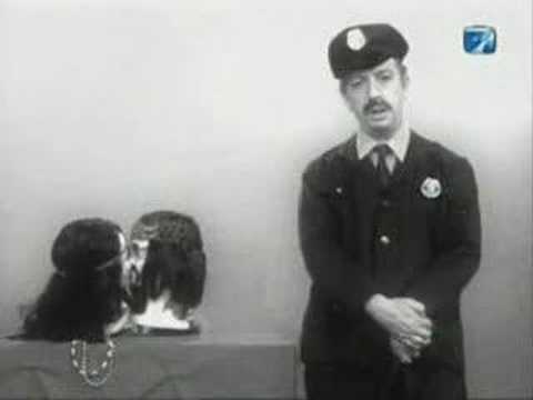 Imagen de previsualización de YouTube
