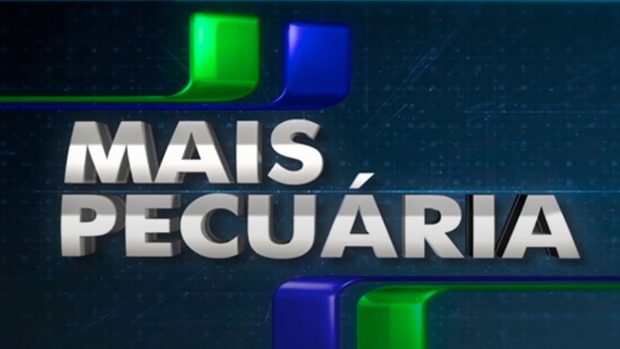 Mais Pecuária | 16/10/2024