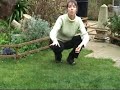 Lawn Care Guide - March Lawn Care Guide - March