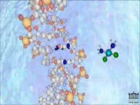 CisPlatin: Mechanism of Action