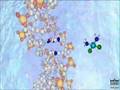 CisPlatin: Mechanism of Action