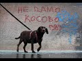 Graffite e Pichação Graffite e Pichação