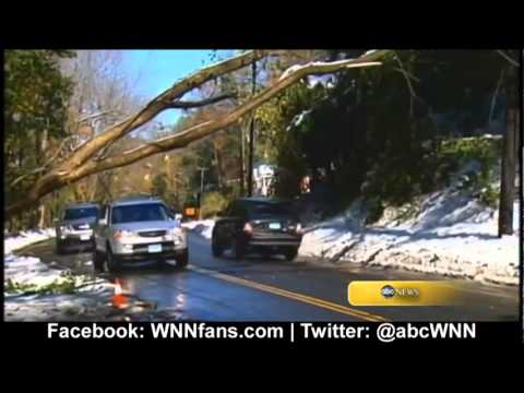 The Aftermath of October Snow Storm 2011