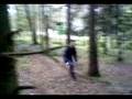 videos de trees are fun part 3