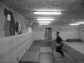 Shoten tombogaeri, wall running