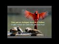 Patro nia - Pai nosso