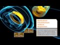 Avalon Rare Metal: Thor Lake & Rare Earth Elements