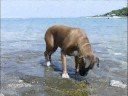 Dorem� in vacanza