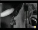 MICKY Y LOS TONYS - I AM OVER MICKY Y LOS TONYS - I AM OVER