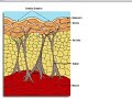 Cellulite Treatment Warning Cellulite Treatment Warning