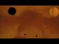 The Polyps - White Linoleum
