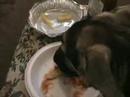 Heinz commercial contest: Heinz- it\