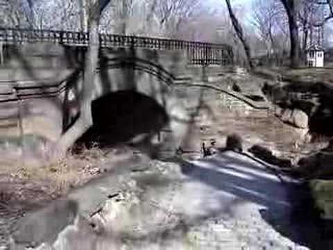 Springbanks Arch