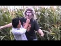 cornsounds