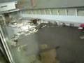 videos de Internationaler Bund Koblenz - 21.11.2008